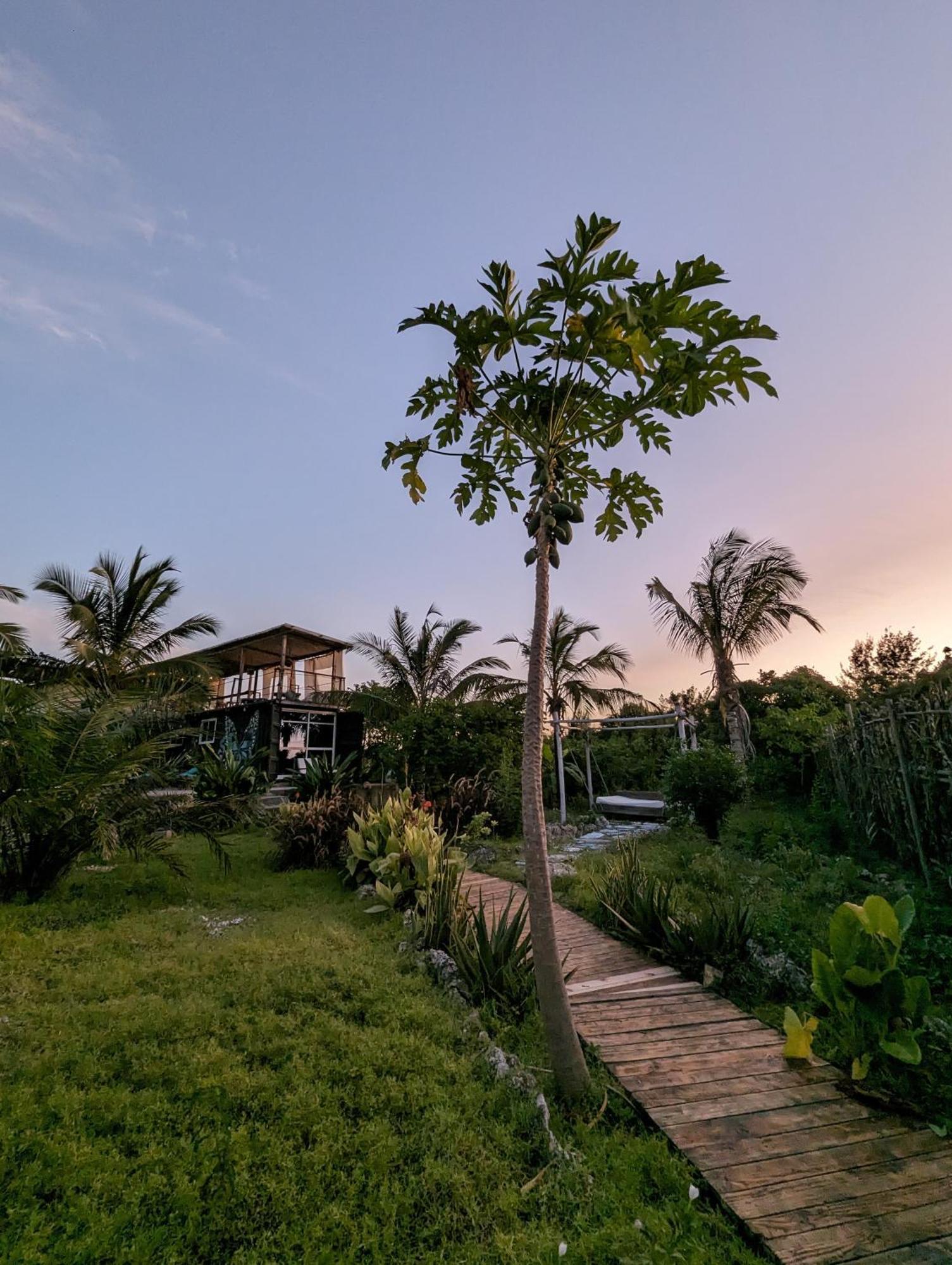 Jambiani Backpackers Hostel Buitenkant foto
